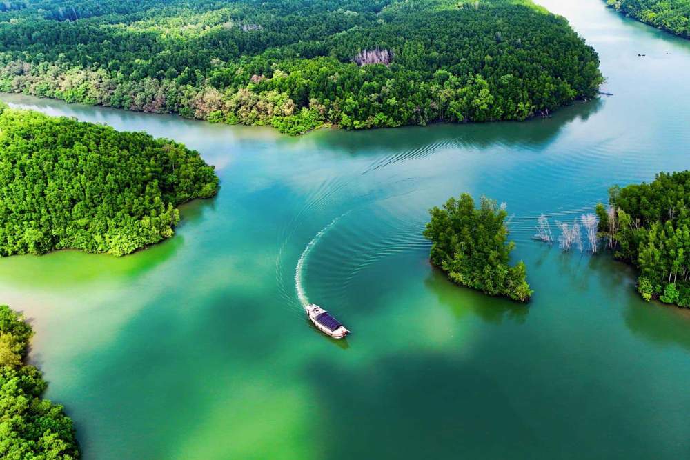 Mangrove de Can Gio